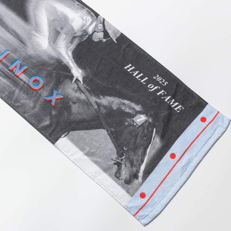 イクイノックス顕彰馬選定記念 フェイスタオル | HORSEGOODSnet