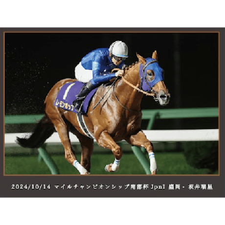 【数量５０個限定】レモンポップ引退記念写真デザインパネル（シリアルナンバー入り）