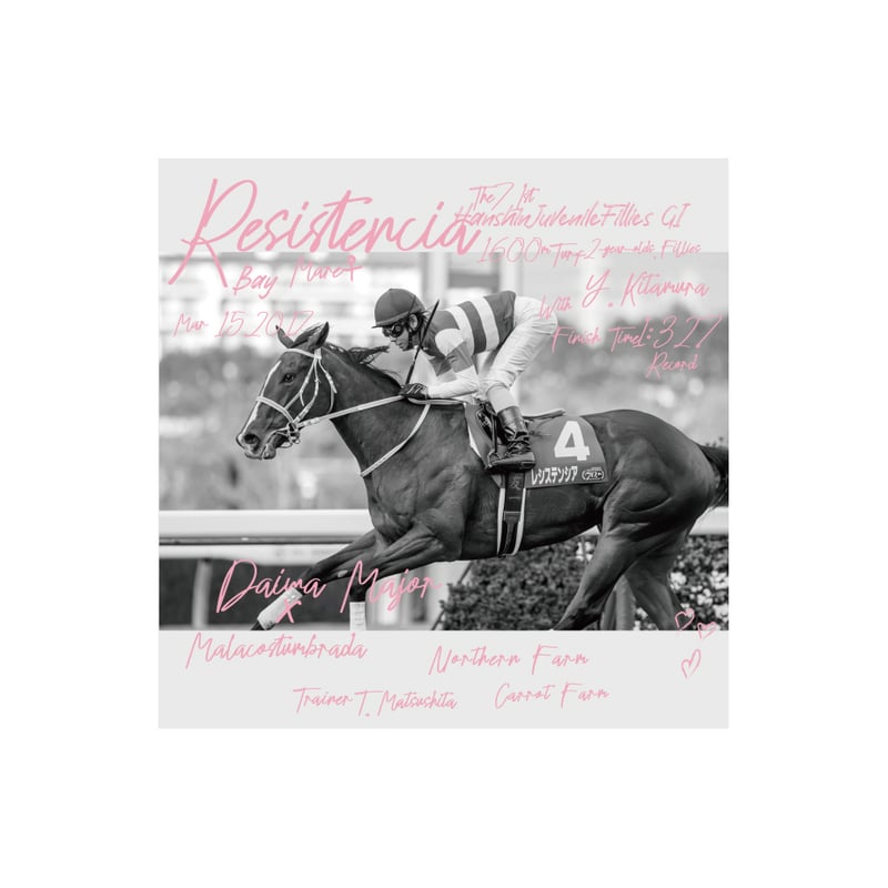 レシステンシア引退記念デザインステッカー5枚組 | HORSEGOODSnet