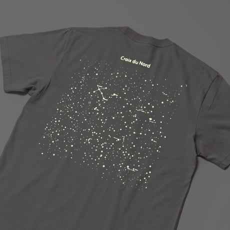 クロワデュノール グラフィカルTシャツAパターン（グレー/Gray）