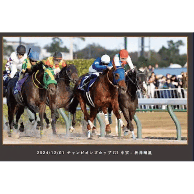 数量50個限定】レモンポップ引退記念写真デザインパネル