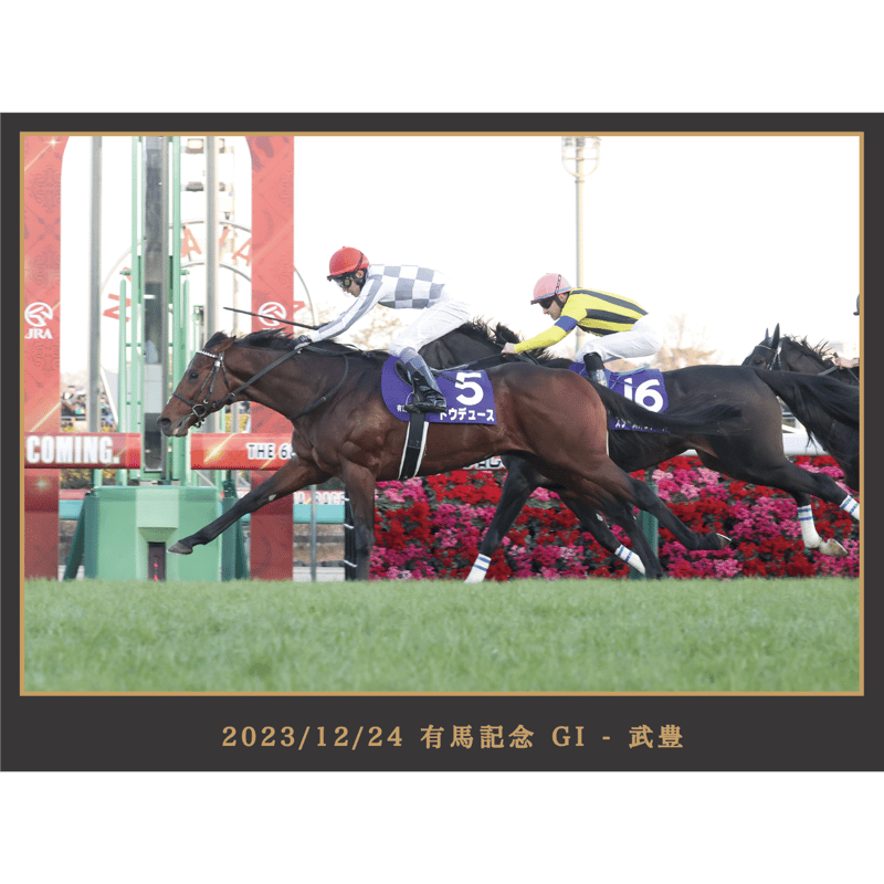 数量100枚限定】ドウデュース引退記念写真デザインパネル