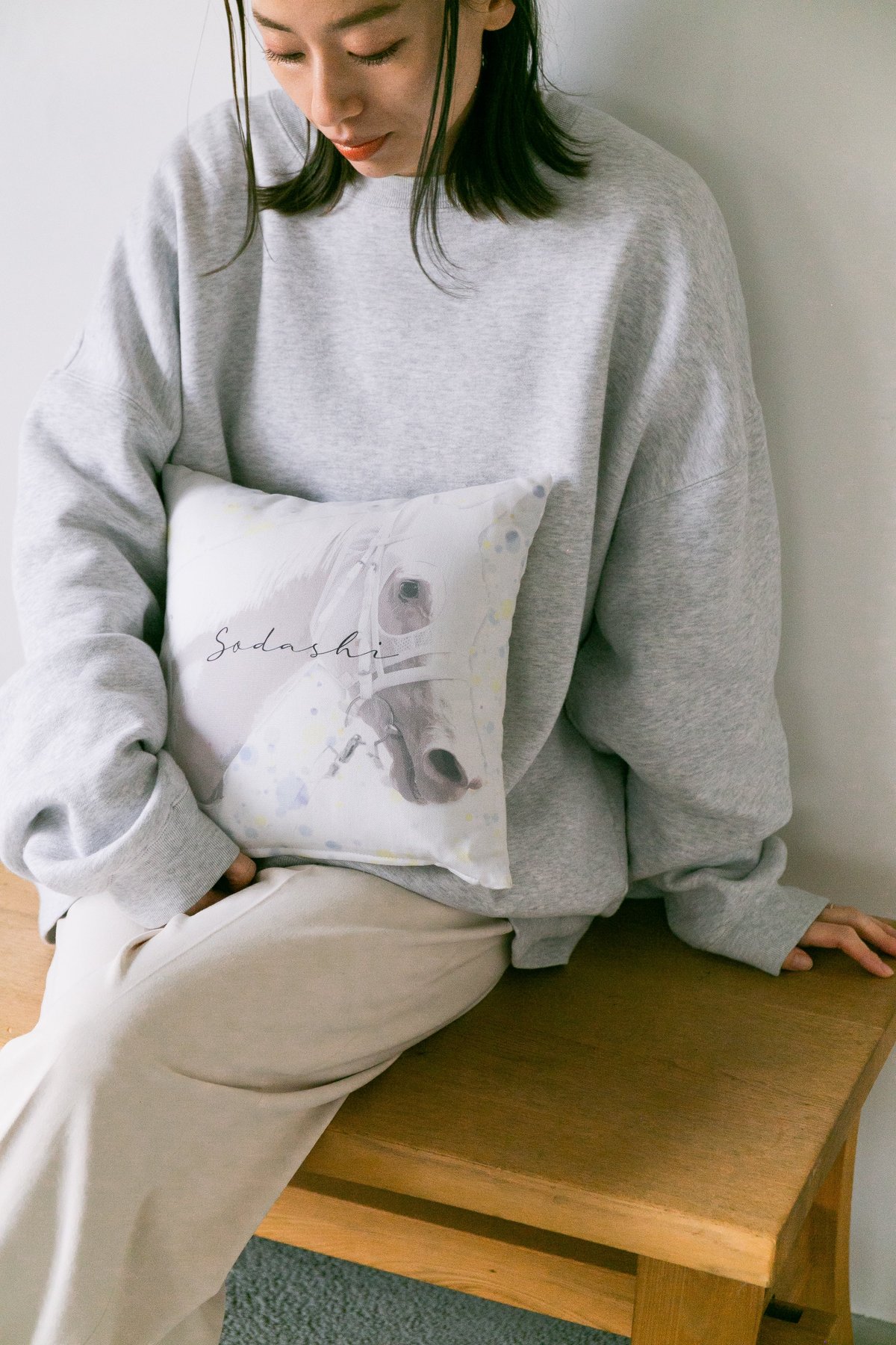 ソダシ引退記念グラフィカルミニクッション | HORSEGOODSnet