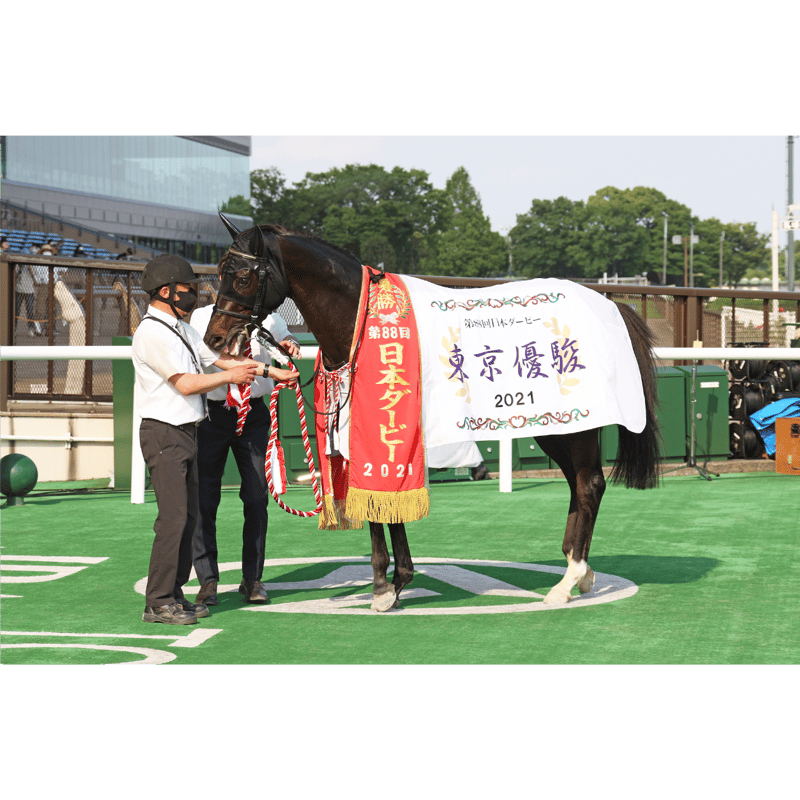 数量50枚限定】シャフリヤール引退記念写真デザインパネル（シリアル