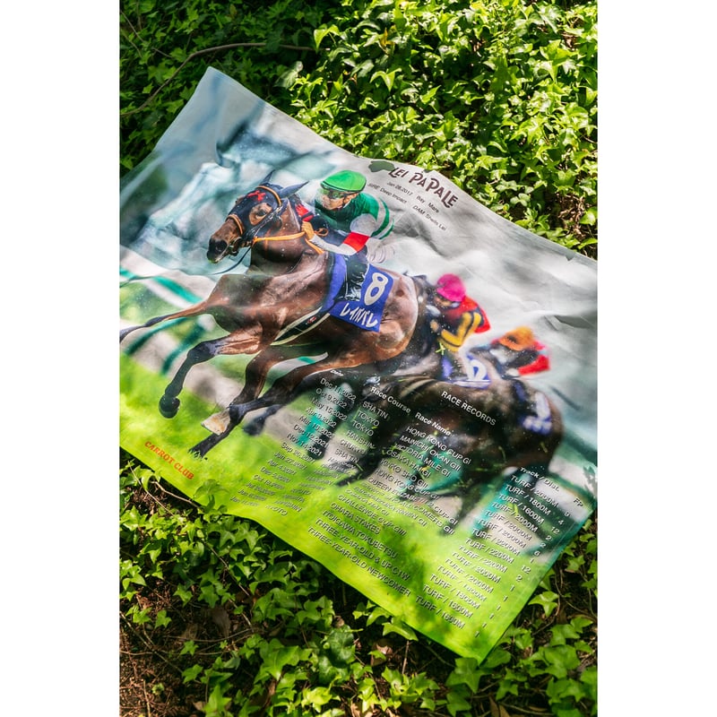 ◆　競馬　JRA　◆　コントレイル　◆　引退記念ピンバッジ◆１ＢＯＸ　全１０種◆ mqdefault.jpg