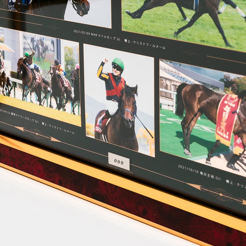 数量50個限定】シュネルマイスター引退記念写真デザインパネル