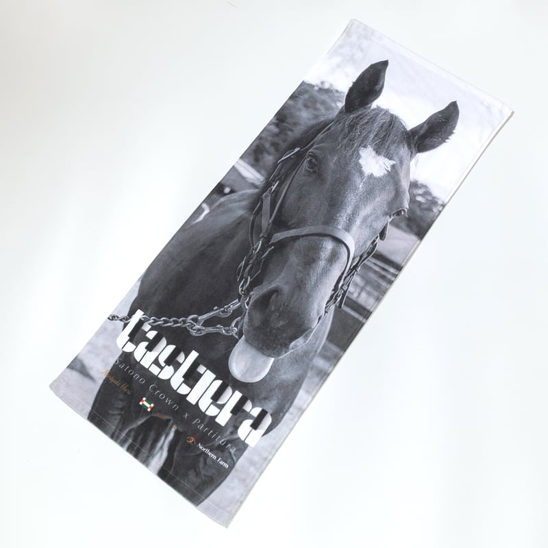 タスティエーラ引退記念 グラフィカルフェイスタオル | HORSEGOODSnet