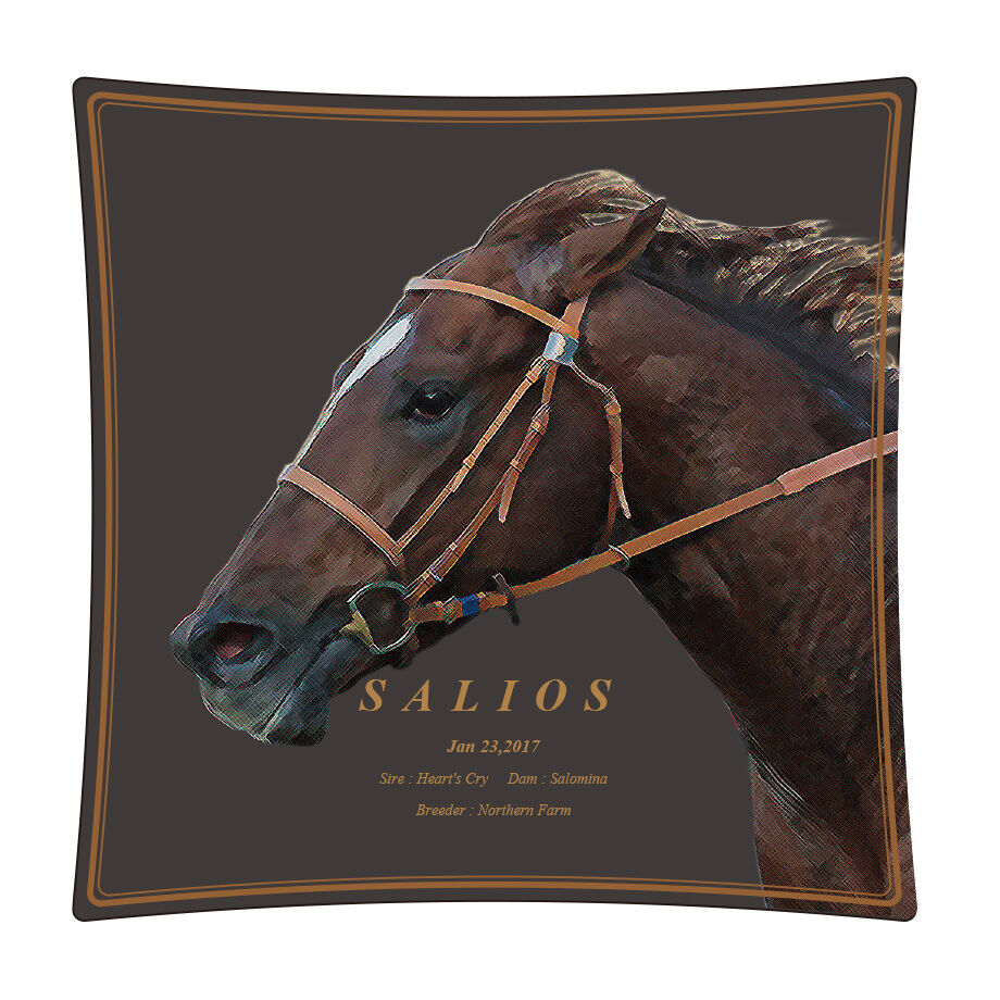 50s ビンテージ ロードサイン ONEWAY クッション アンティーク 雑貨