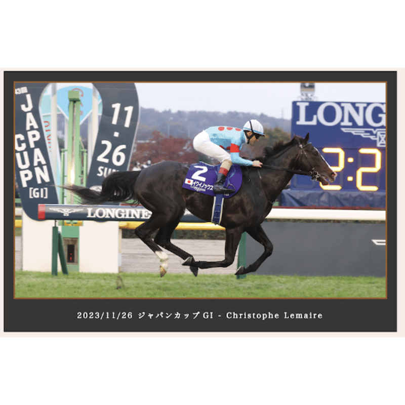 200個限定イクイノックス引退記念写真デザインパネルシリアル