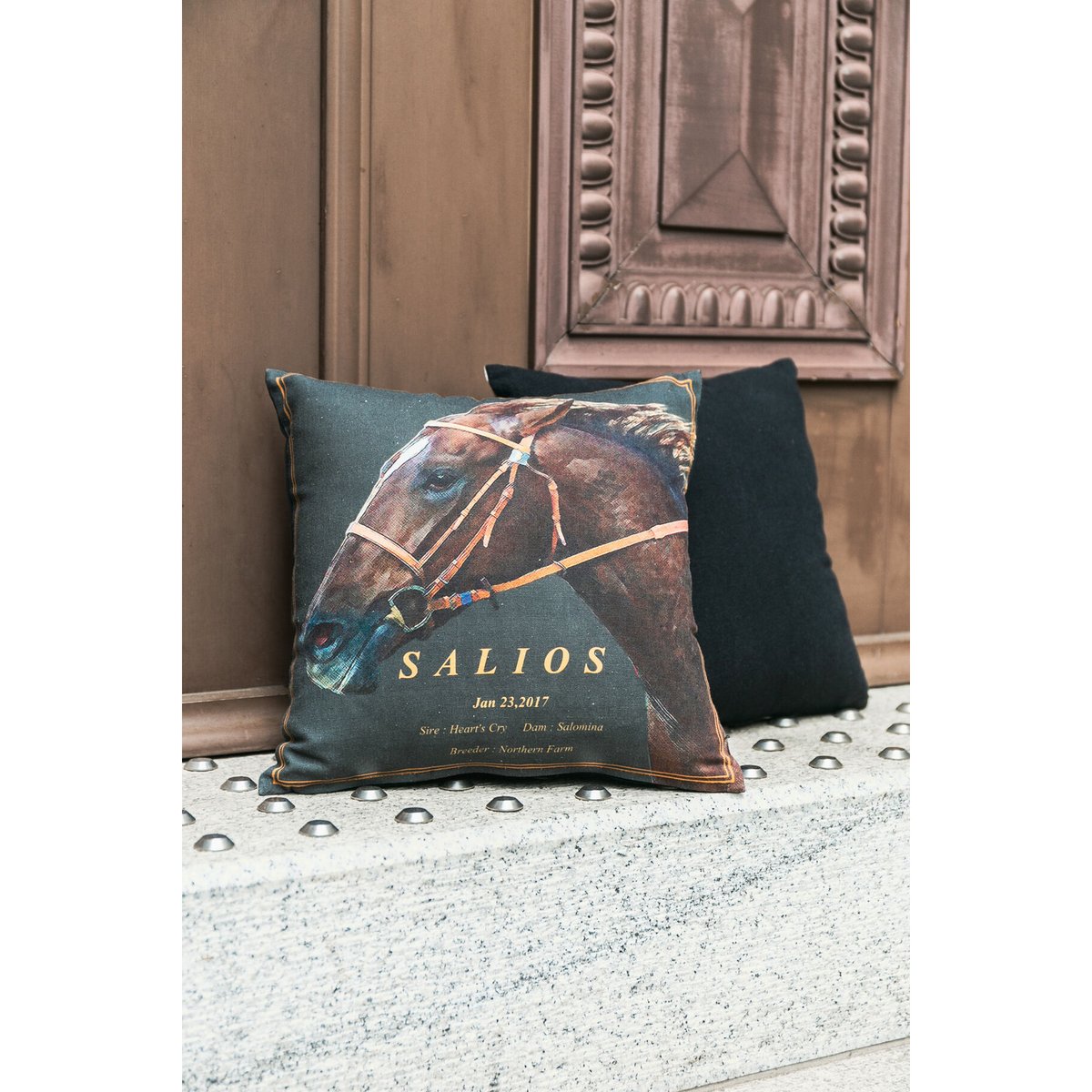 サリオス引退記念グラフィカルミニクッション | HORSEGOODSnet