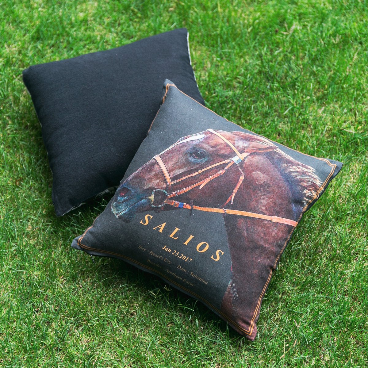 サリオス引退記念グラフィカルミニクッション | HORSEGOODSnet