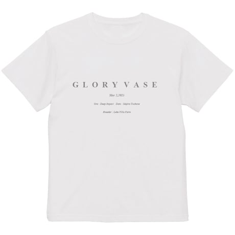 グローリーヴェイズ引退記念グラフィカルTシャツ（Bパターン白/White）