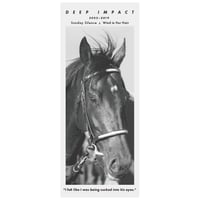 ディープインパクト グラフィカルフェイスタオル