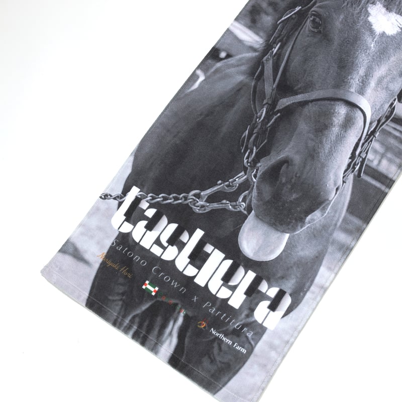 タスティエーラ引退記念 グラフィカルフェイスタオル | HORSEGOODSnet