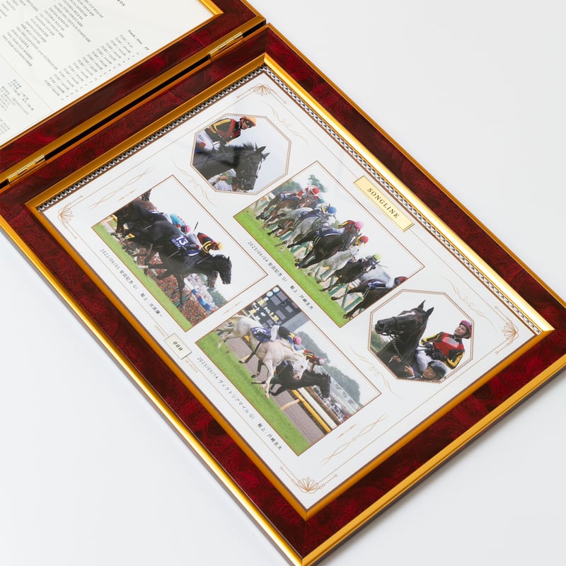 タイトルホルダーセット　シリアル番号つき写真パネル 数量100個限定】ソングライン引退記念写真デザインパネル