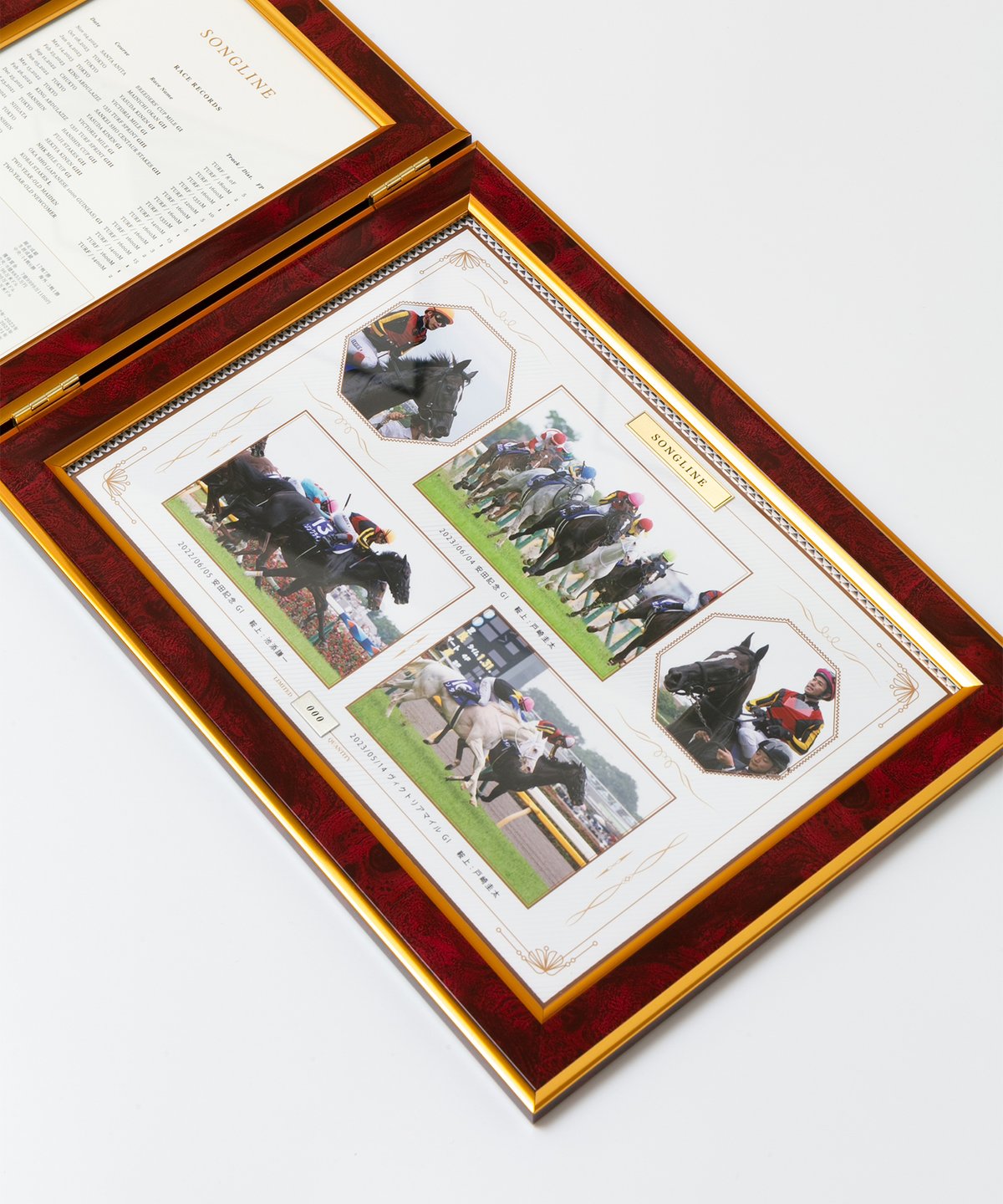 タイトルホルダーセット　シリアル番号つき写真パネル 限定50個】タイトルホルダー 引退記念 写真パネル シリアル