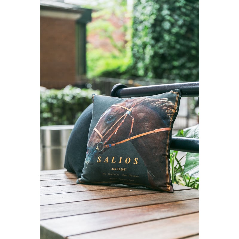 サリオス引退記念グラフィカルミニクッション | HORSEGOODSnet