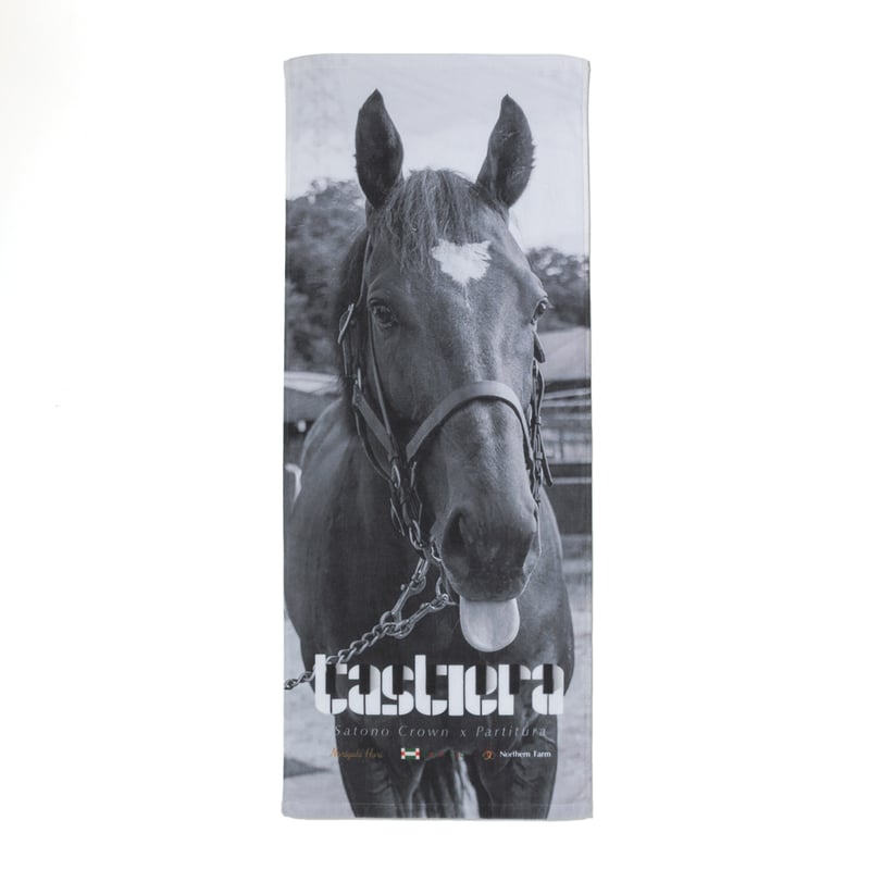 タスティエーラ引退記念 グラフィカルフェイスタオル | HORSEGOODSnet
