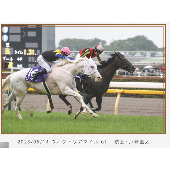数量100個限定】ソングライン引退記念写真デザインパネル