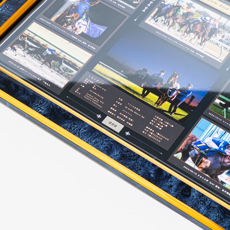 数量50個限定】レモンポップ引退記念写真デザインパネル（シリアル