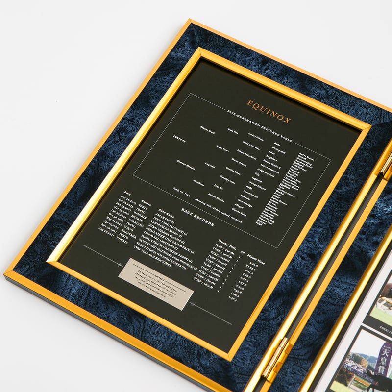 イクイノックス　引退記念写真デザインパネル　シリアルナンバー入り ２００個限定 200個限定 イクイノックス 引退記念写真デザインパネル シリアル