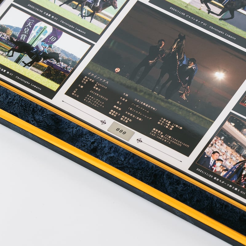 数量200個限定】イクイノックス引退記念写真デザインパネル  