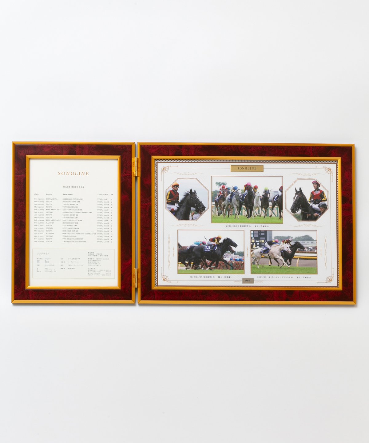 タイトルホルダーセット　シリアル番号つき写真パネル タイトルホルダーセット シリアル番号つき写真パネル タイトル