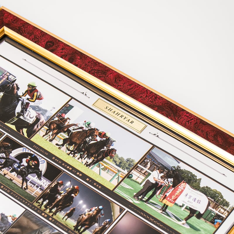 数量50枚限定】シャフリヤール引退記念写真デザインパネル（シリアル