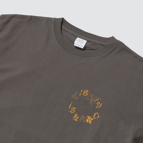 リバティアイランド メモリアルグッズ グラフィカルTシャツCパターン（グレー/Gray）