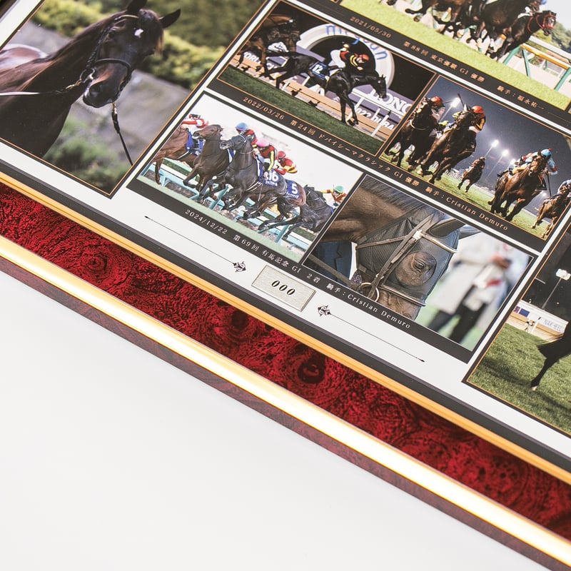 数量50枚限定】シャフリヤール引退記念写真デザインパネル（シリアル