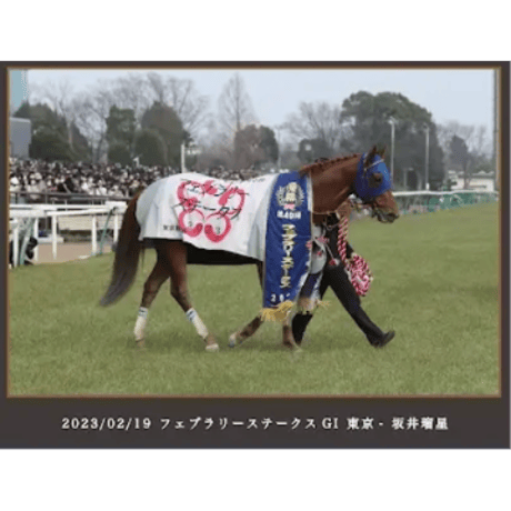 【数量５０個限定】レモンポップ引退記念写真デザインパネル（シリアルナンバー入り）
