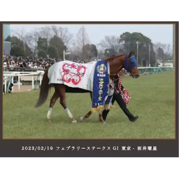 数量50個限定】レモンポップ引退記念写真デザインパネル（シリアル