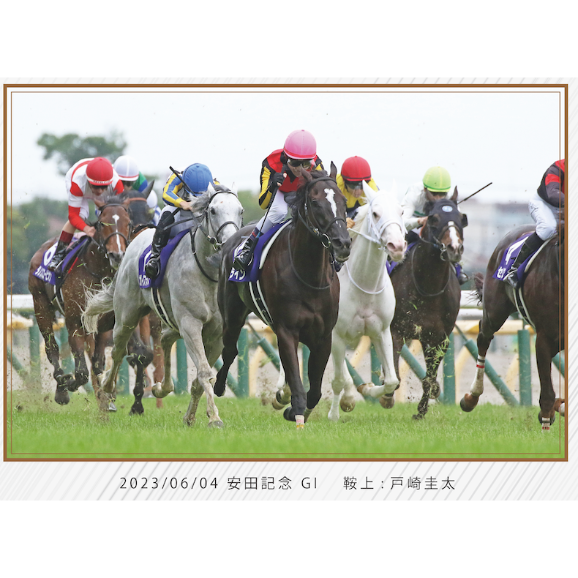 数量100個限定】ソングライン引退記念写真デザインパネル