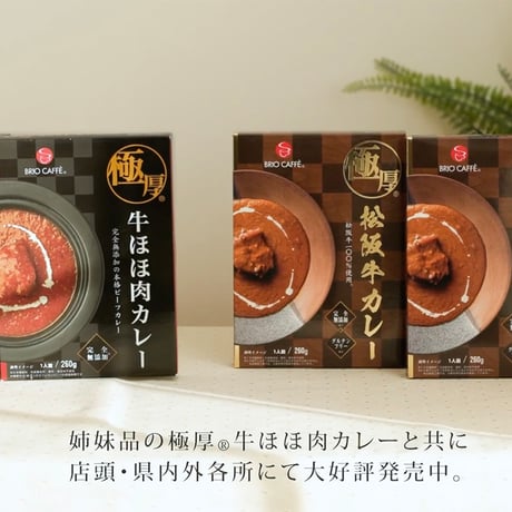 極厚 松阪牛カレー