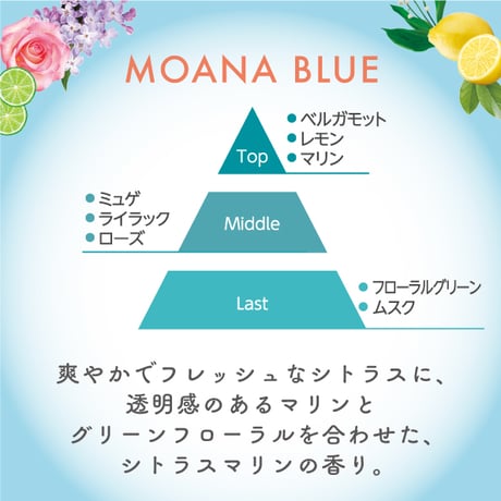 ISM シャンプー モアナブルー　つめかえ MOANA BLUE