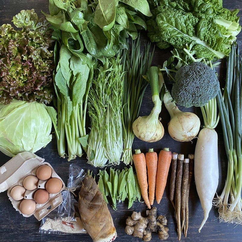 自然栽培　固定種　在来種　キャベツ　野菜詰め合わせ　自然農法　自然農 自然栽培・固定種野菜【Mセット】 | こどもやさい自然農園