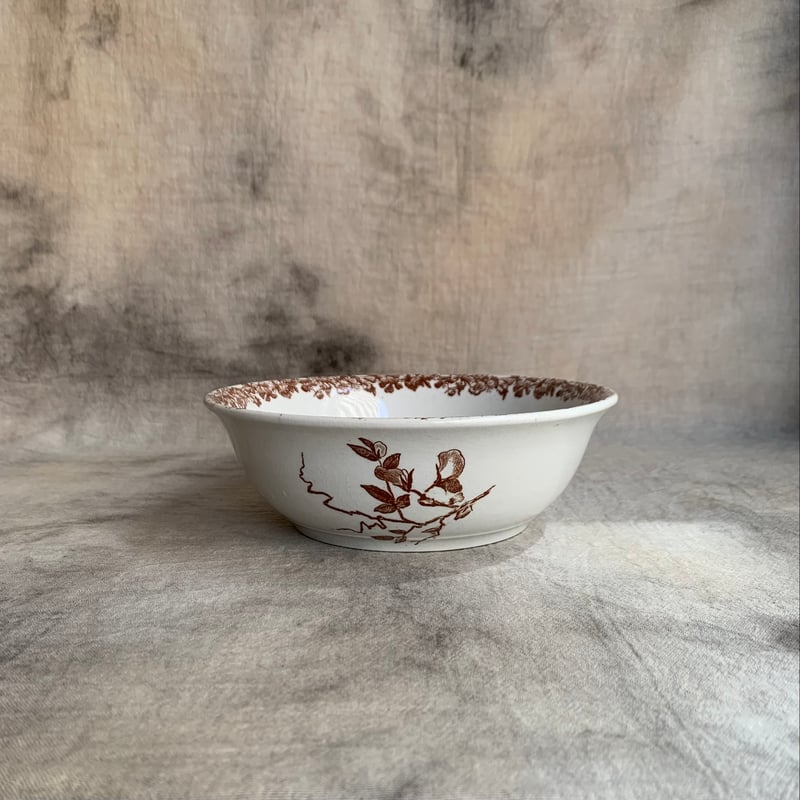 ペクソンヌ窯 茶彩鳥絵ボウル | Antiques そらんじ