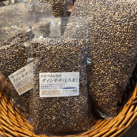紫もち麦(ダイシモチ)玄麦5kg(同梱セット用)※冷蔵便※