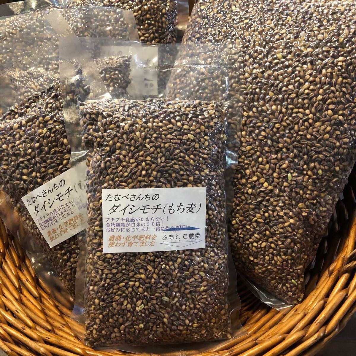 紫もち麦(ダイシモチ)玄麦2kg | ふもとも農園