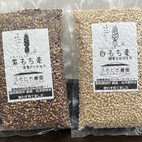 もち麦(ダイシモチ)玄麦1kg、(きはだもち)精麦1㎏