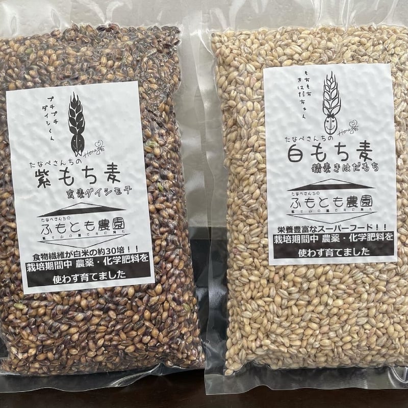 もち麦(ダイシモチ)玄麦2kg、きはだもち精麦1㎏ | ふもとも農園