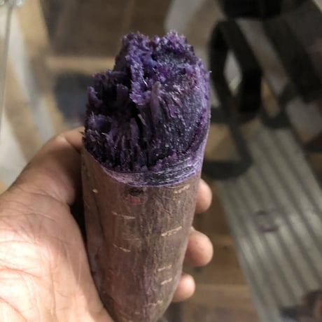 ※簡易包装※1.2kg（冷凍便）まるでスイーツな石焼き芋おまかせ詰め合わせ