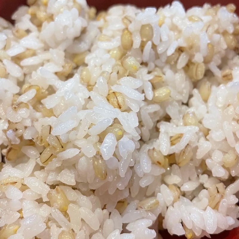 紫もち麦(ダイシモチ)精麦1kg | ふもとも農園