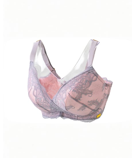 Silver Rose Bra
