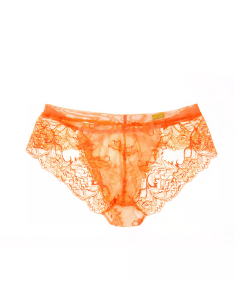 ORANGE Shorts