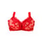 LUISA Rouge Red Bra