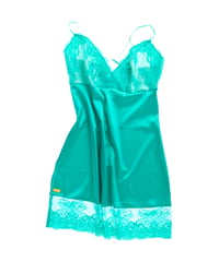 MINT Slip