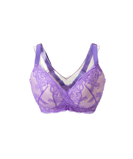 Amethyst Veil Bra
