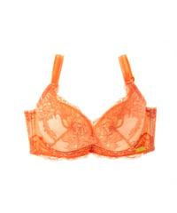 Orange Bra