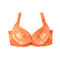 Orange Bra